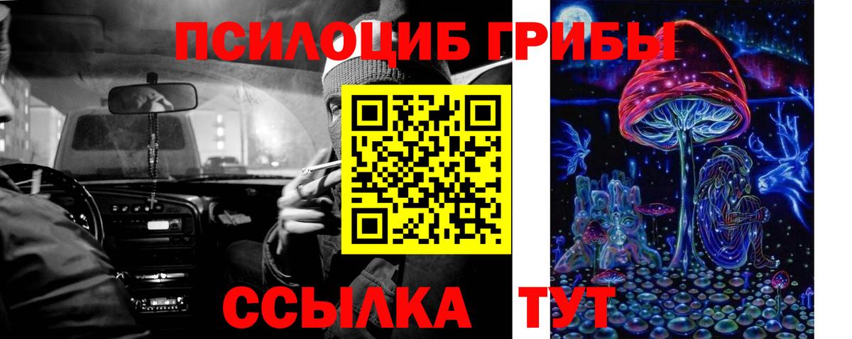 Альфа ПВП Кузнецк